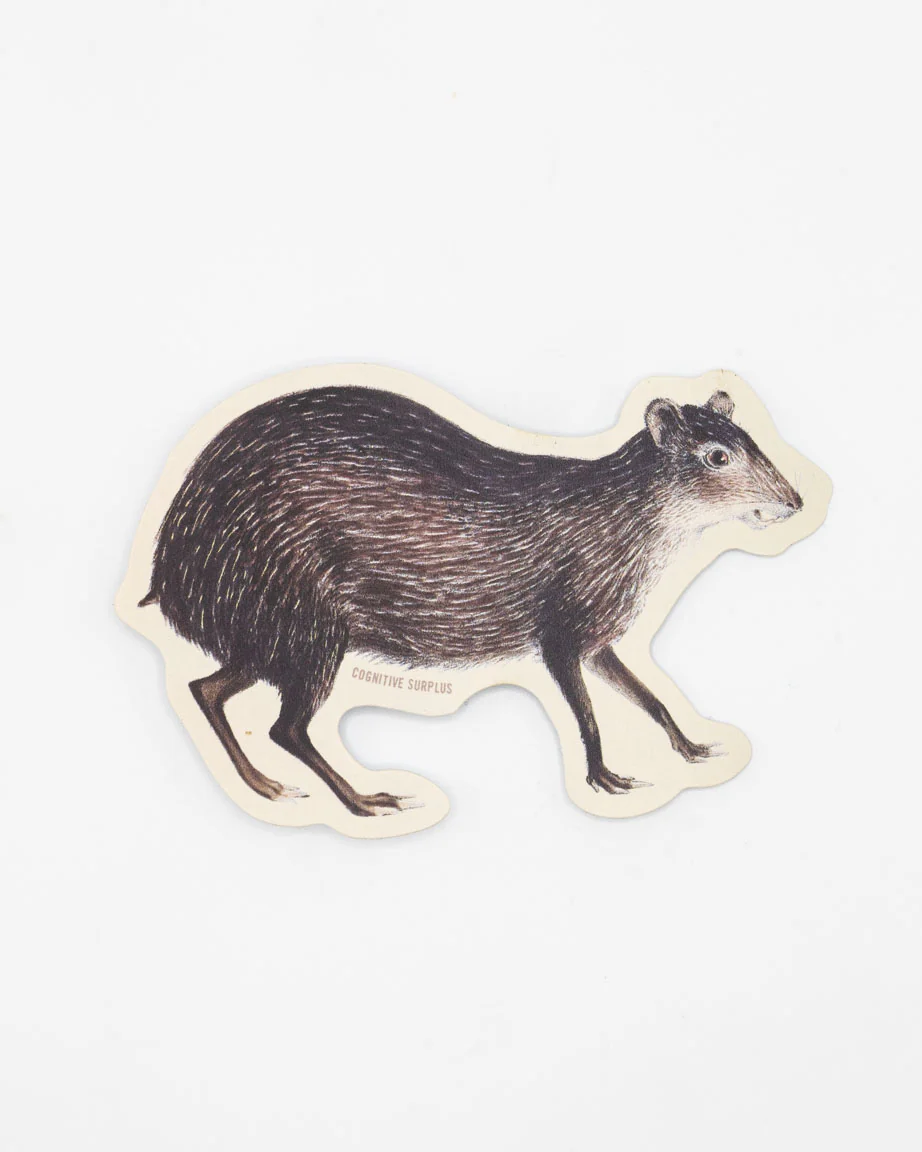 Agouti Sticker - Image 2