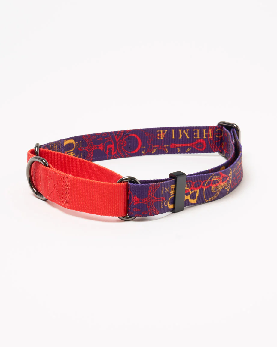 Alchemy Eco Martingale Collar - Image 3