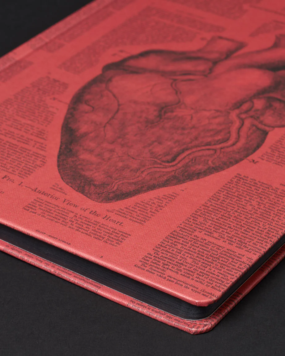 Anatomical Heart Dark Matter Notebook - Image 3