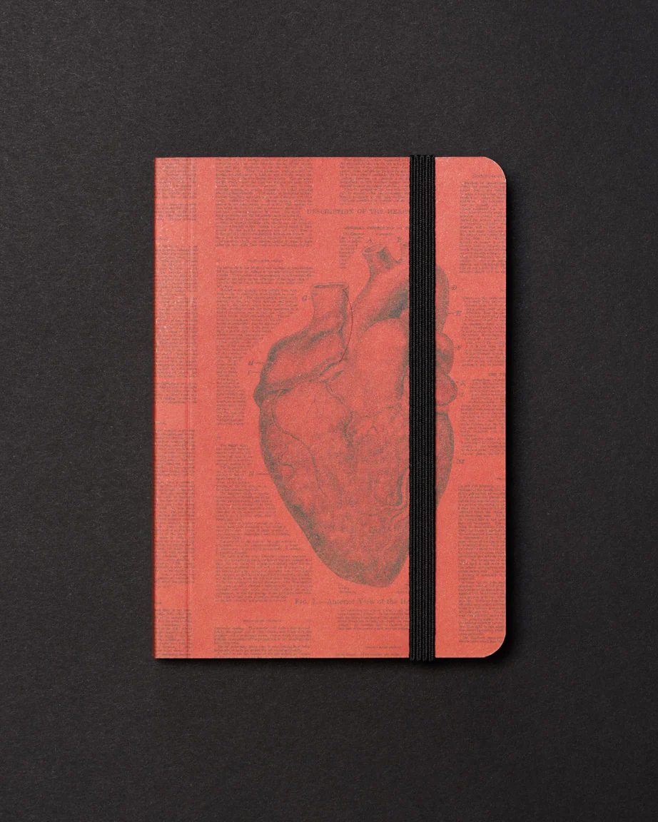 Anatomical Heart Dark Observation Softcover