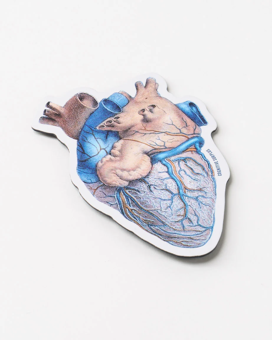 Anatomical Heart Magnet