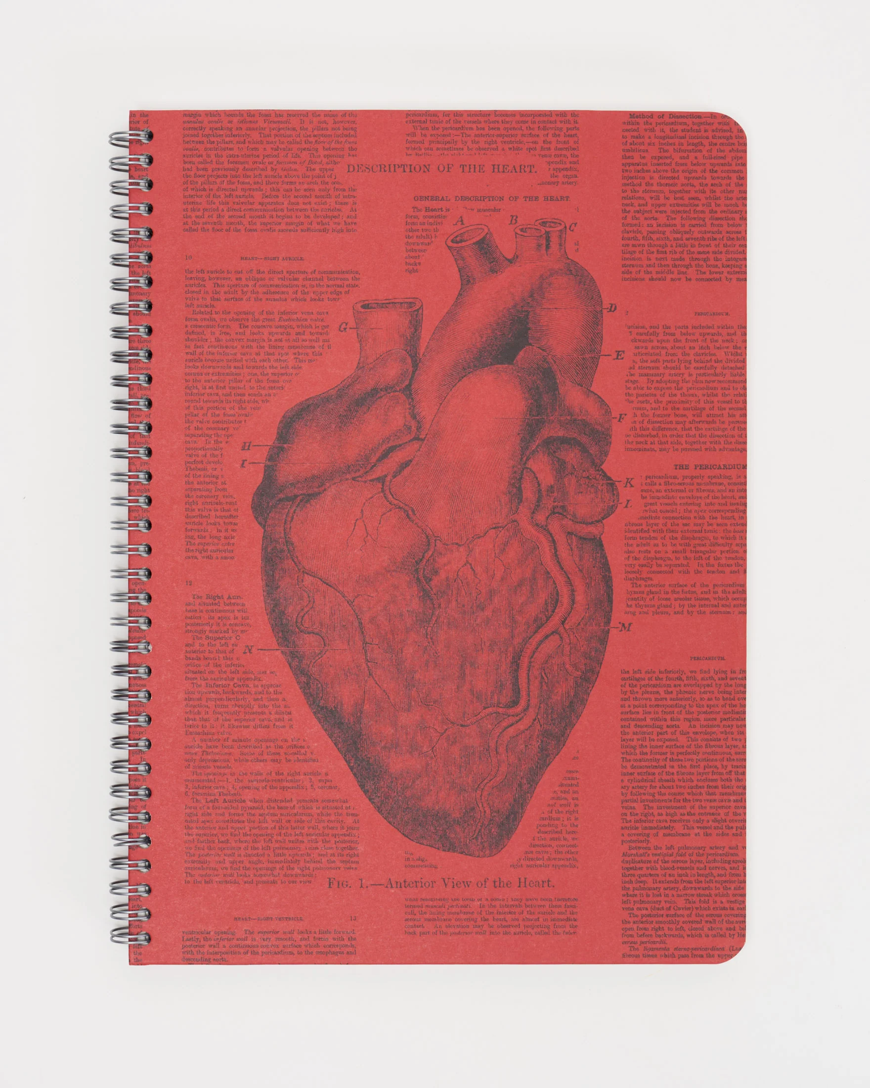 Anatomical Heart Spiral Notebook