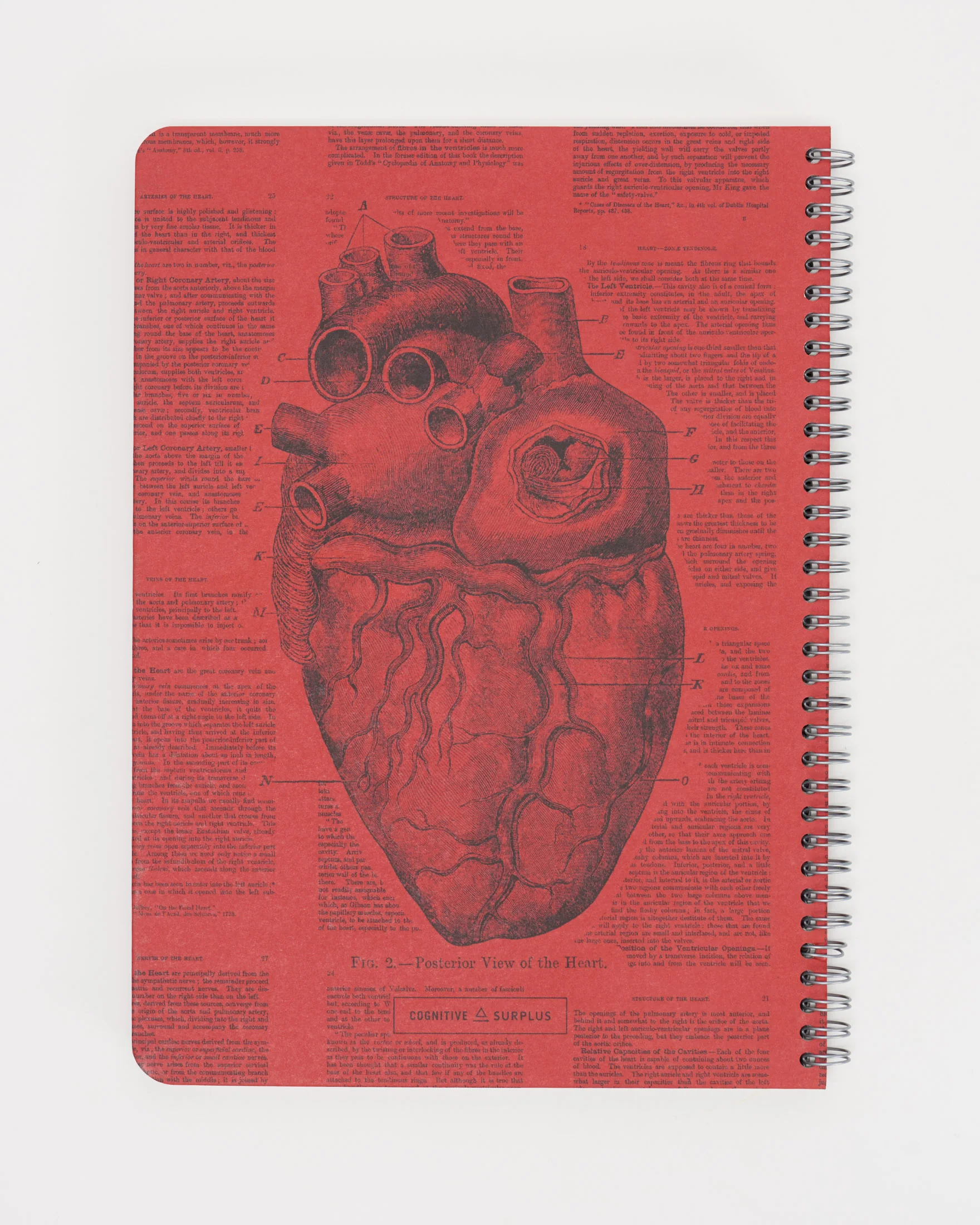 Anatomical Heart Spiral Notebook - Image 2