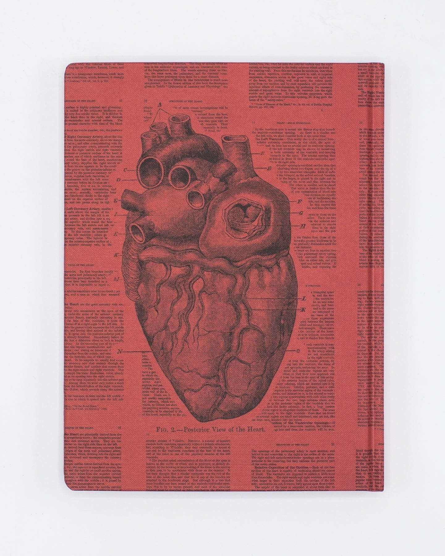 Anatomical Heart Hardcover Notebook - Lined/Grid - Image 2