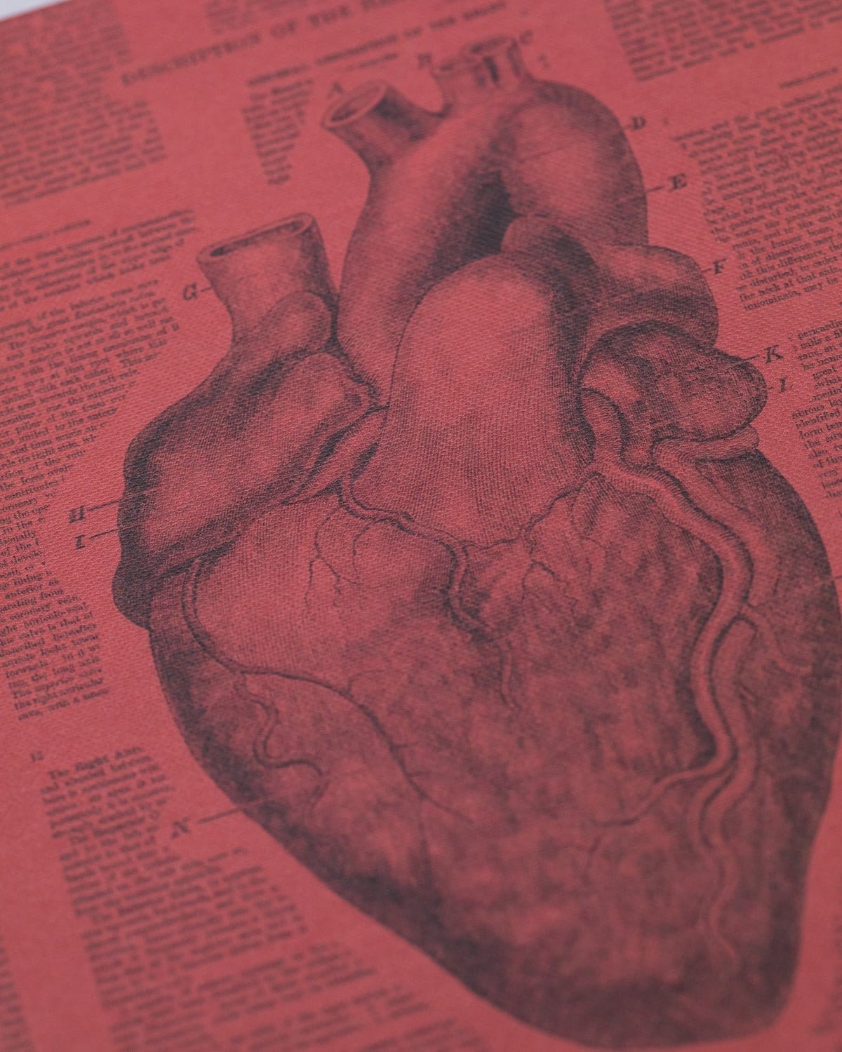 Anatomical Heart Hardcover Notebook - Lined/Grid - Image 3