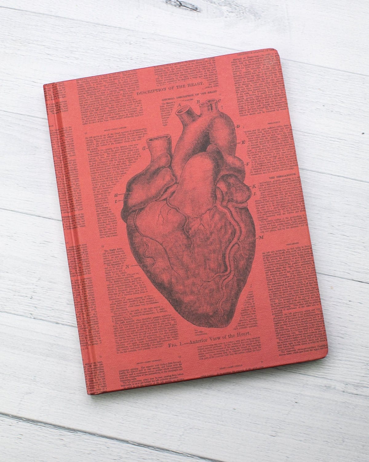 Anatomical Heart Hardcover Notebook - Lined/Grid - Image 6