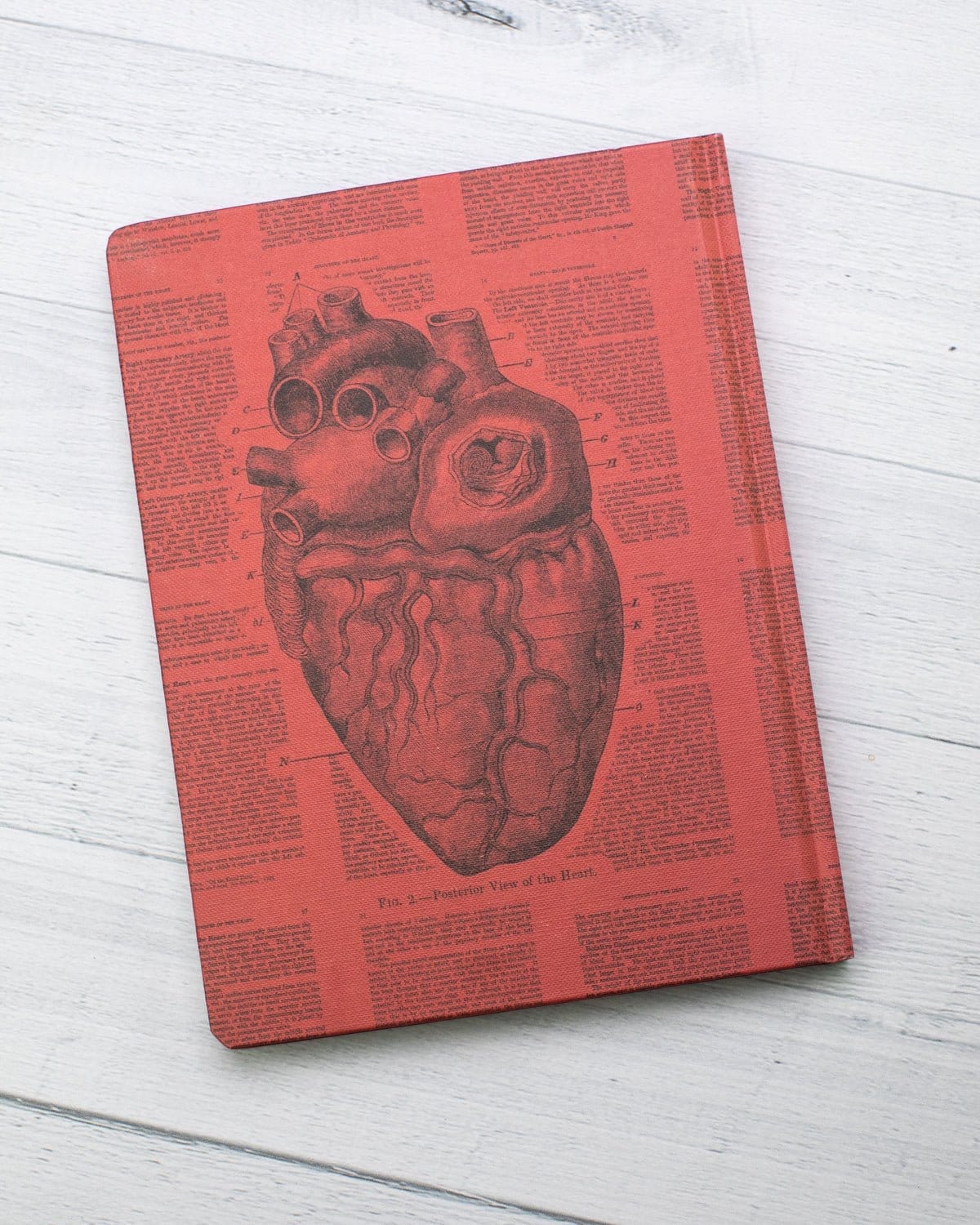 Anatomical Heart Hardcover Notebook - Lined/Grid - Image 7