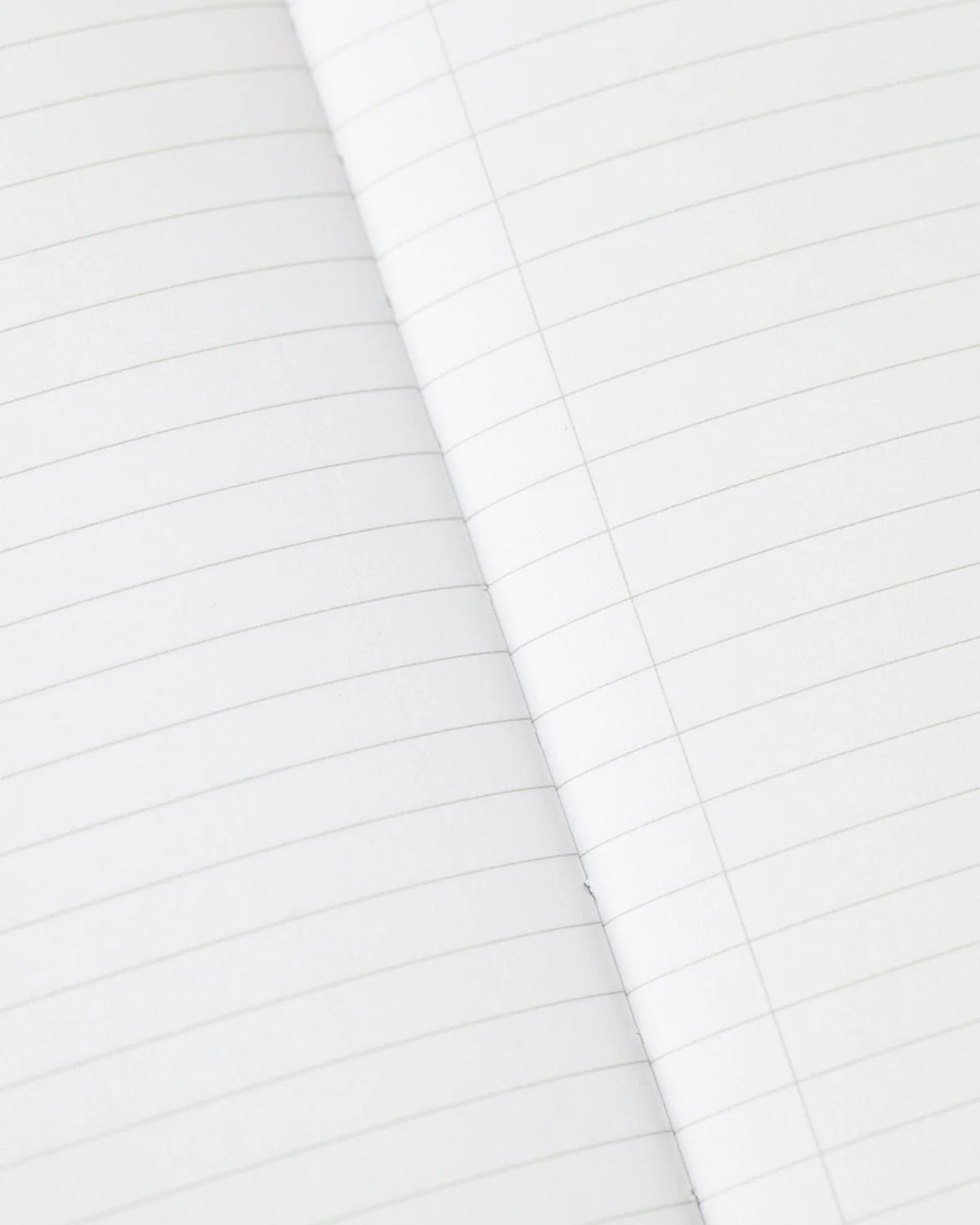 Anatomical Heart Softcover Notebook - Lined - Image 3