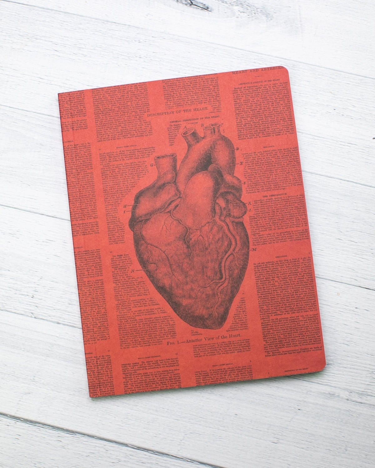 Anatomical Heart Softcover Notebook - Lined - Image 6