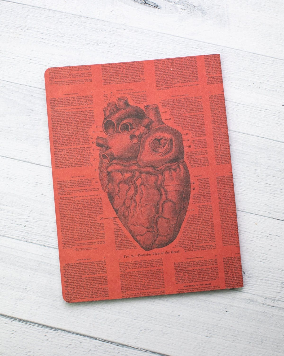 Anatomical Heart Softcover Notebook - Lined - Image 7