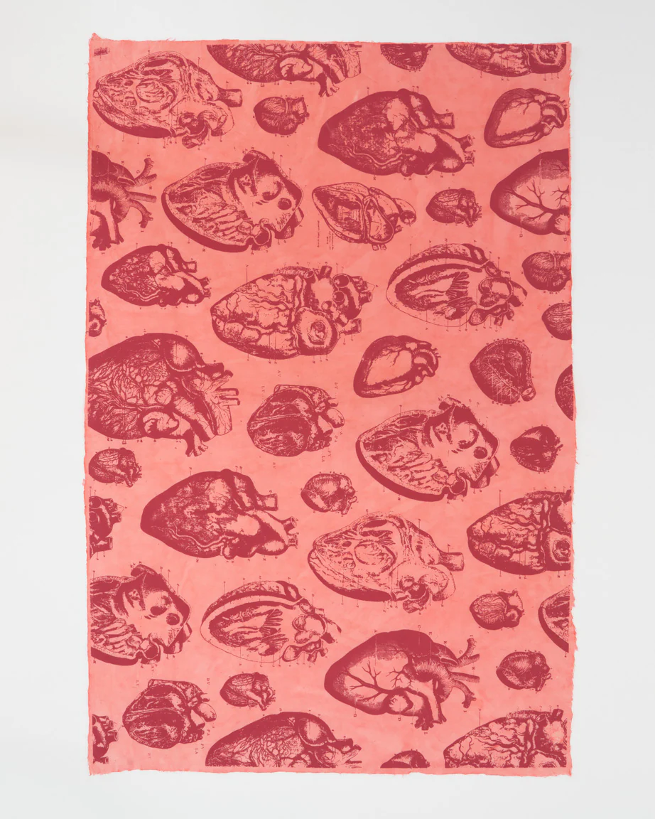 Anatomical Heart Wrapping Paper - Image 2