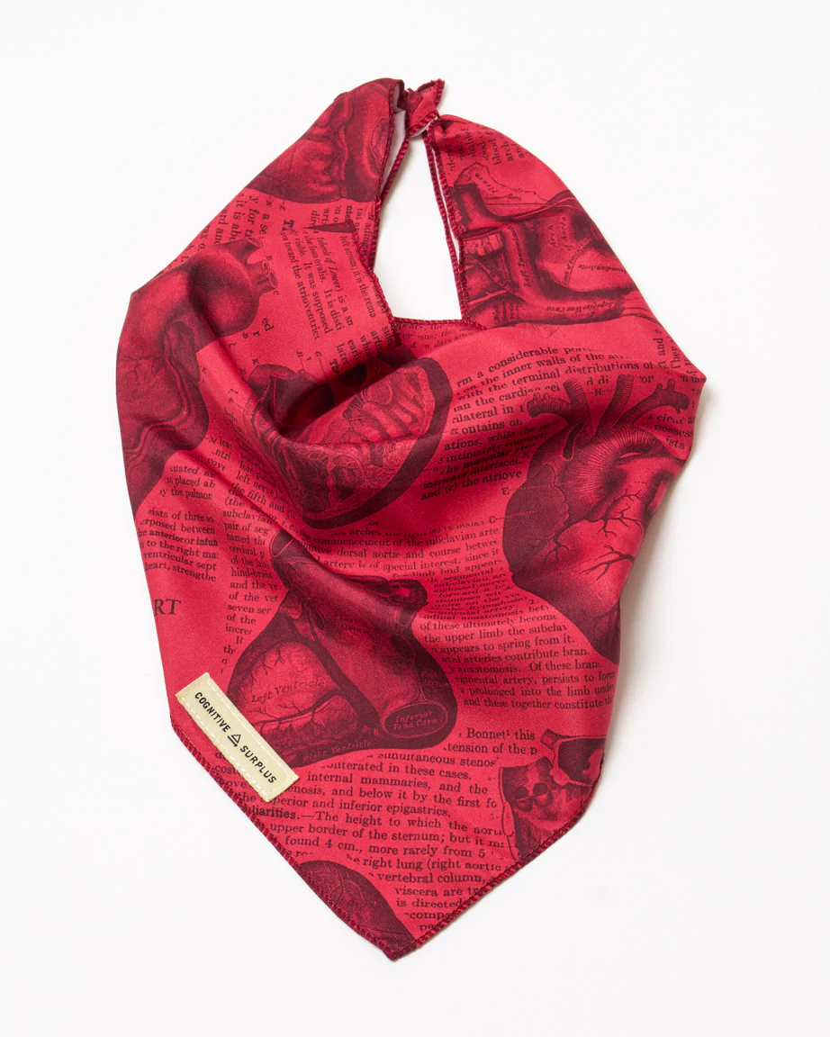 Anatomical Heart Eco Pet Bandana