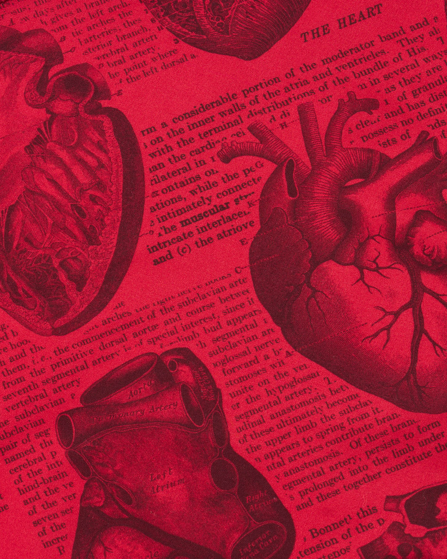 Anatomical Heart Eco Pet Bandana - Image 2