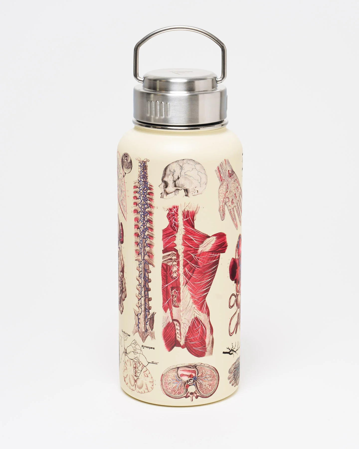 Anatomy 32 oz Steel Bottle - Image 2