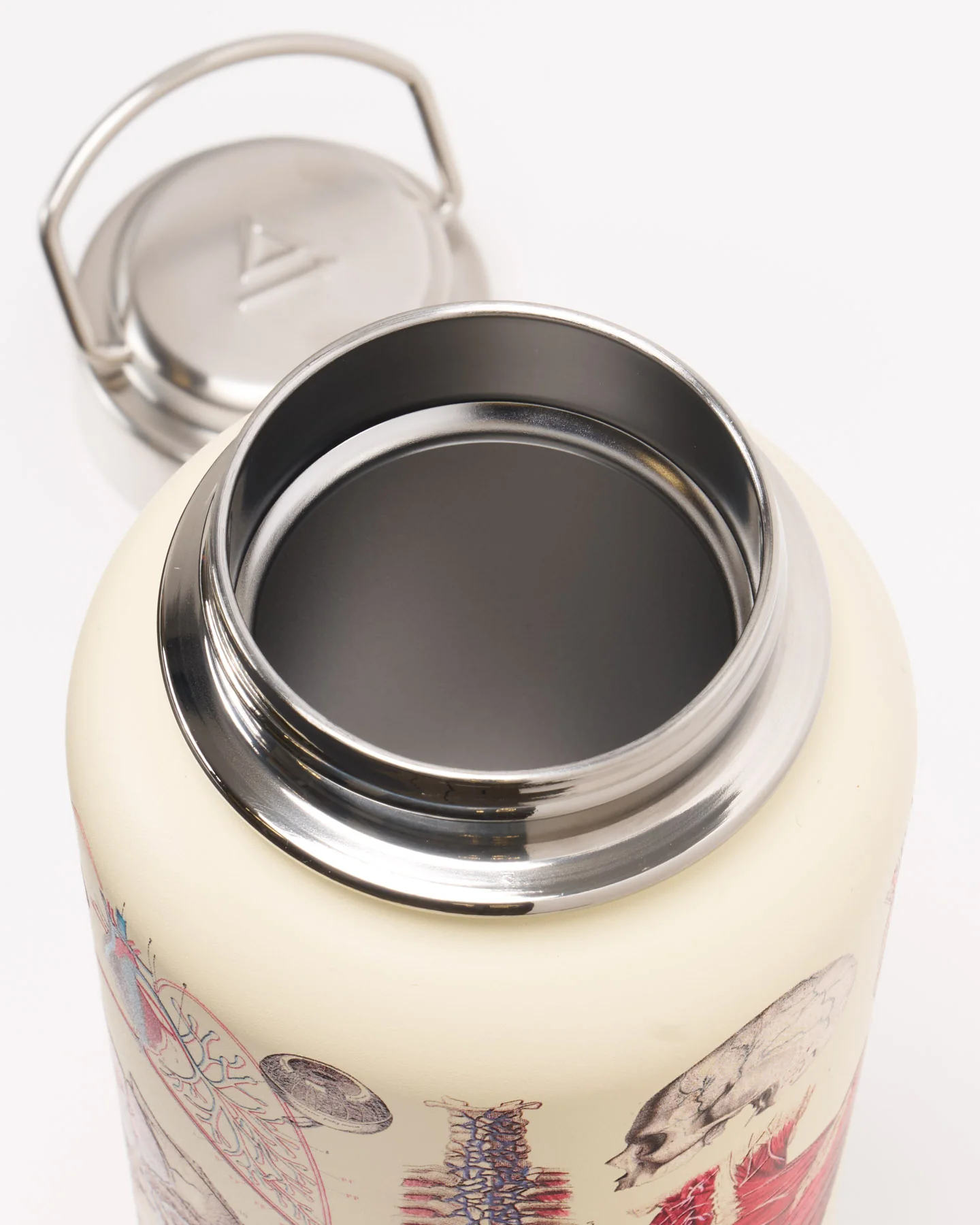 Anatomy 32 oz Steel Bottle - Image 3