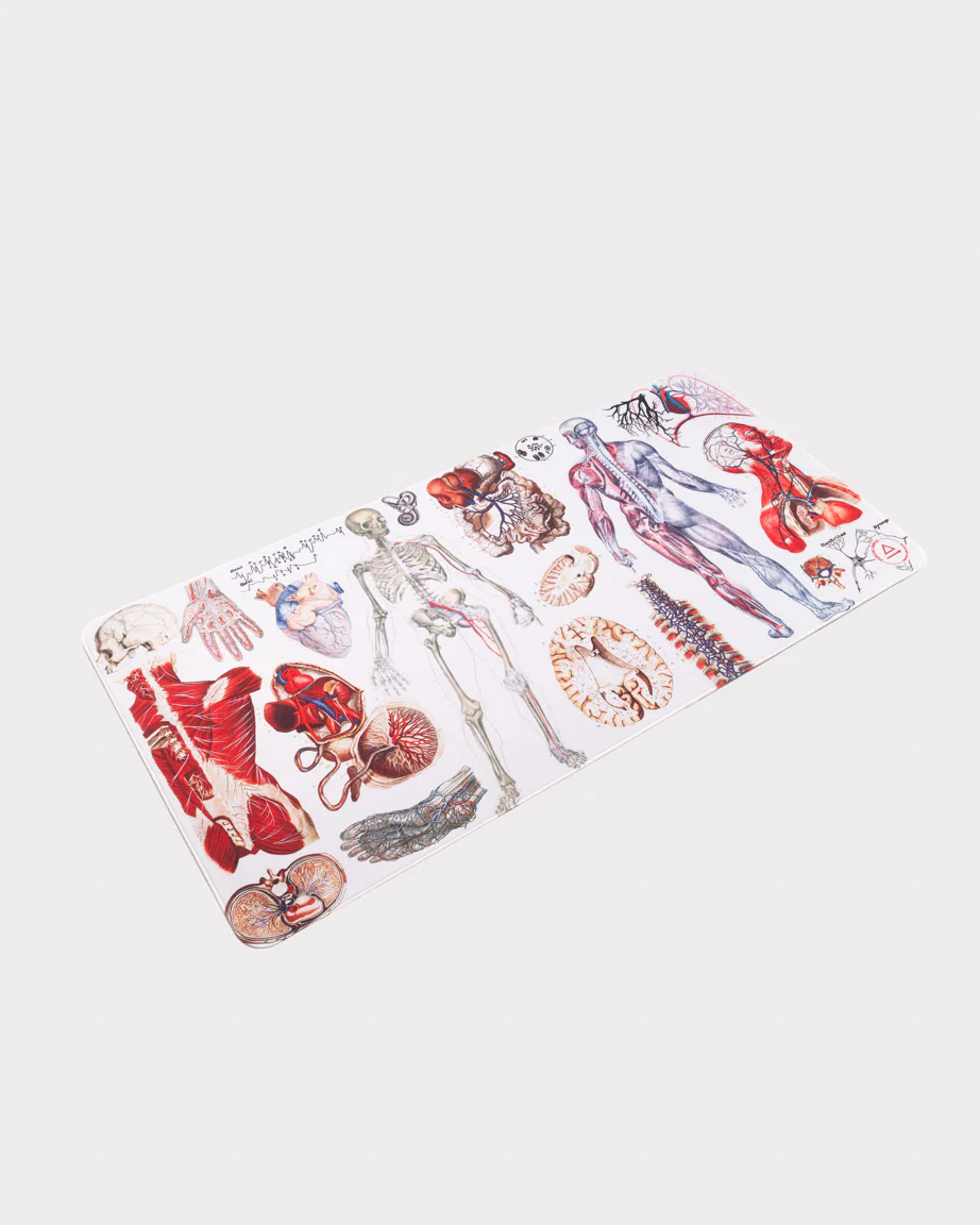 Anatomy Mouse Pad - Image 4
