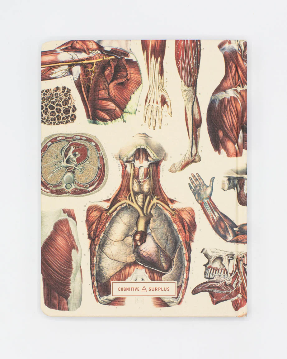 Anatomy: Muscles Hardcover Notebook - Lined/Grid - Image 2