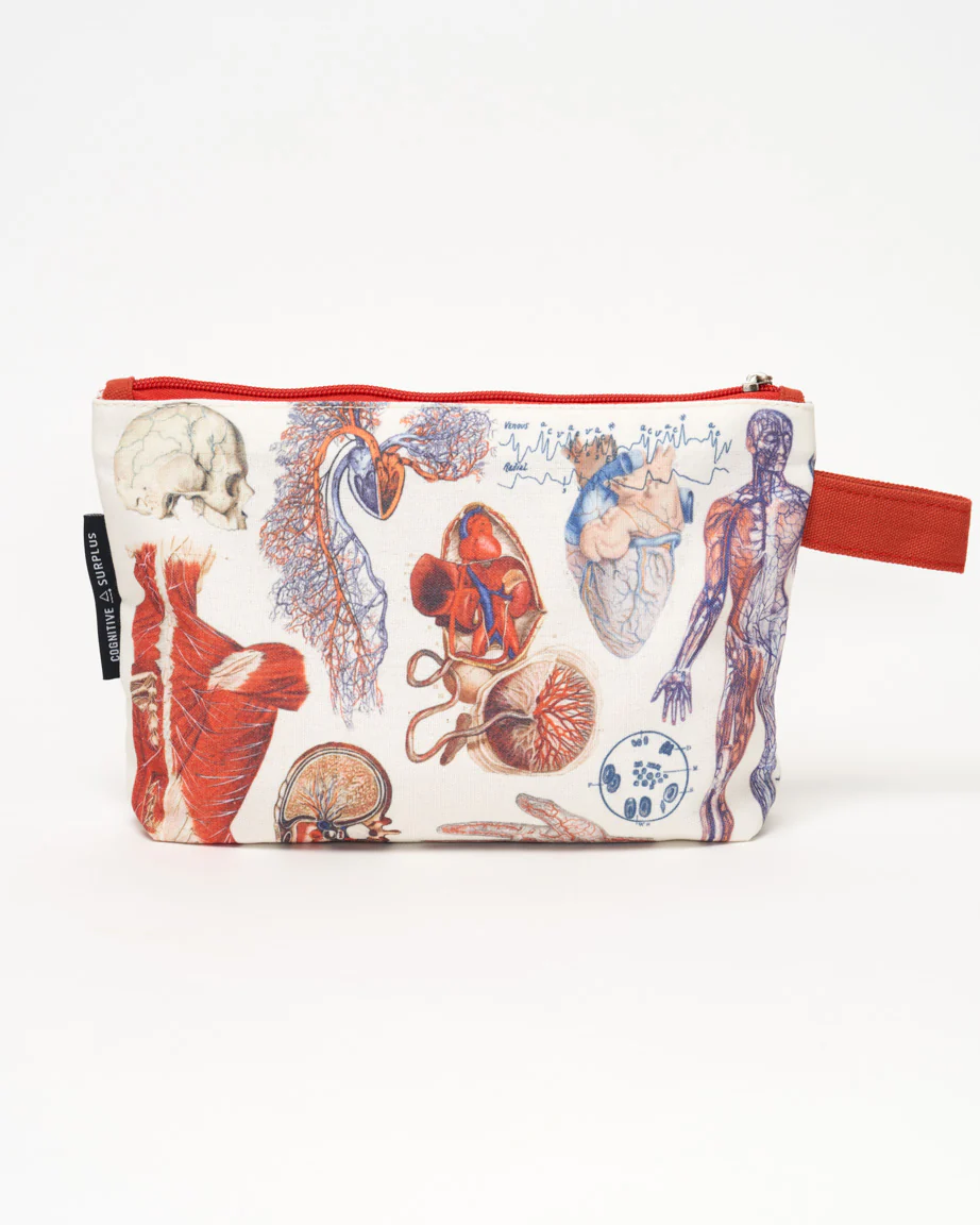 Anatomy Pencil Bag - Image 2