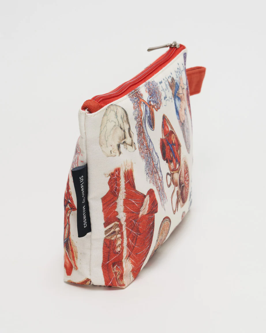 Anatomy Pencil Bag - Image 3