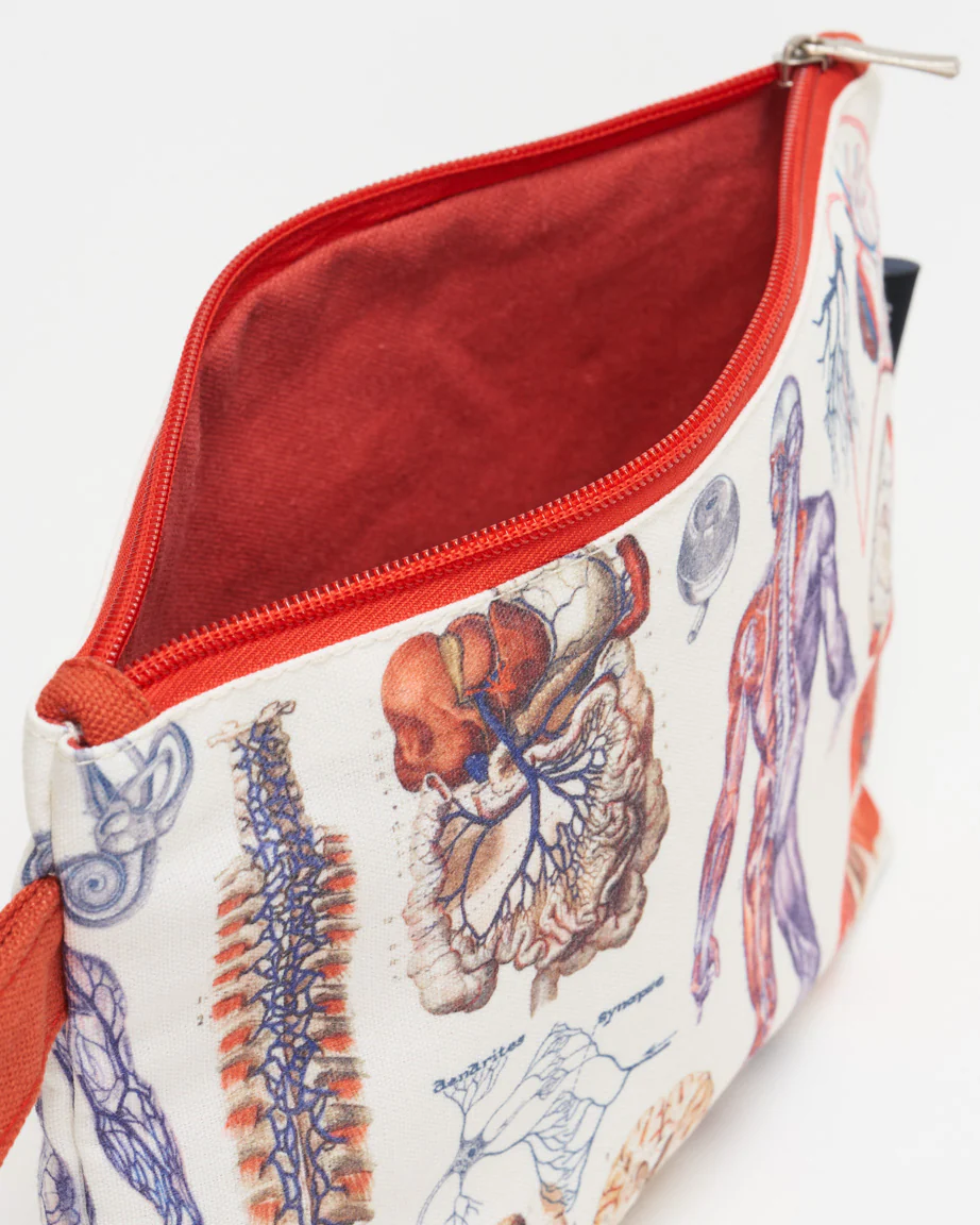 Anatomy Pencil Bag - Image 4