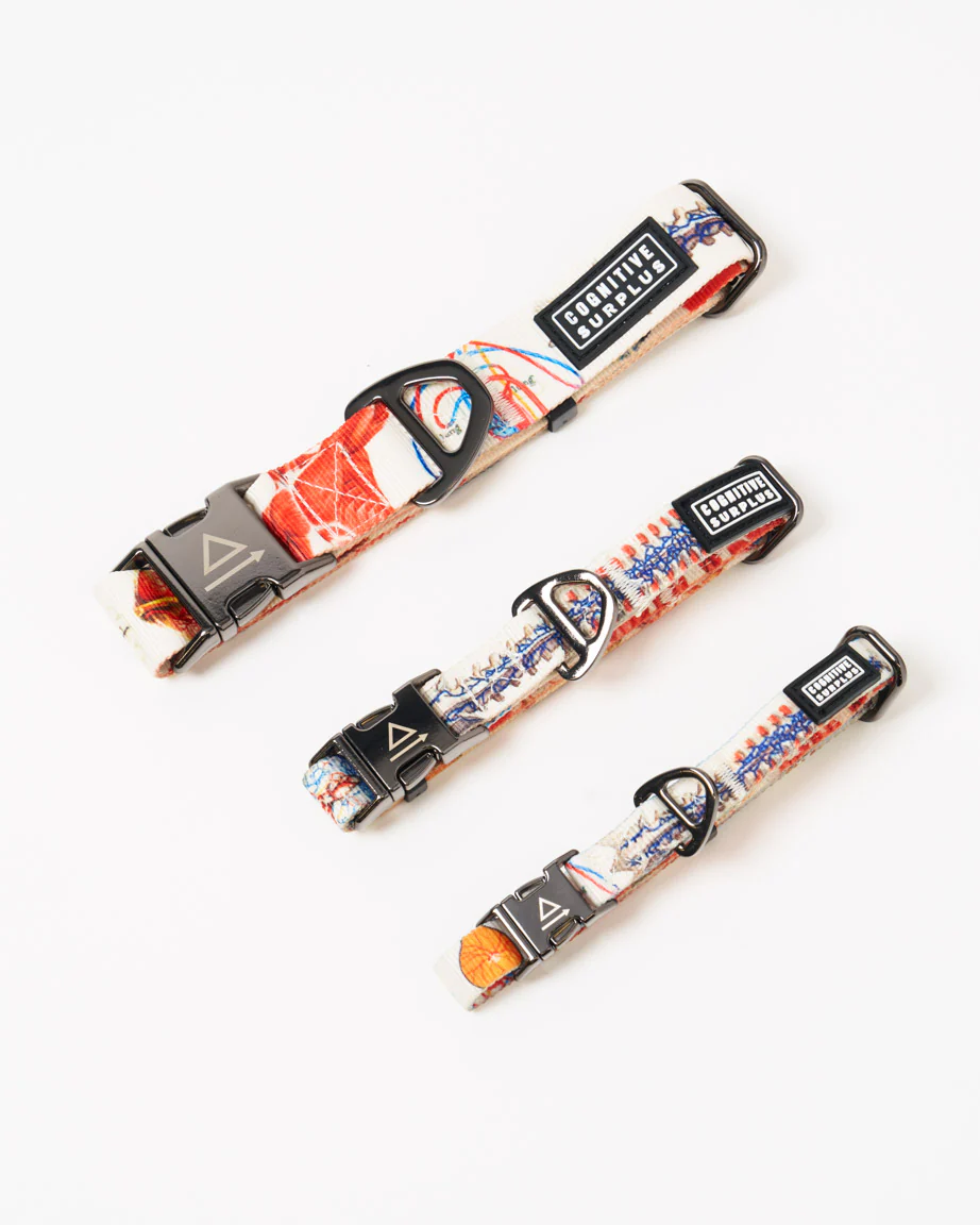 Anatomy Eco Pet Collar - Image 2