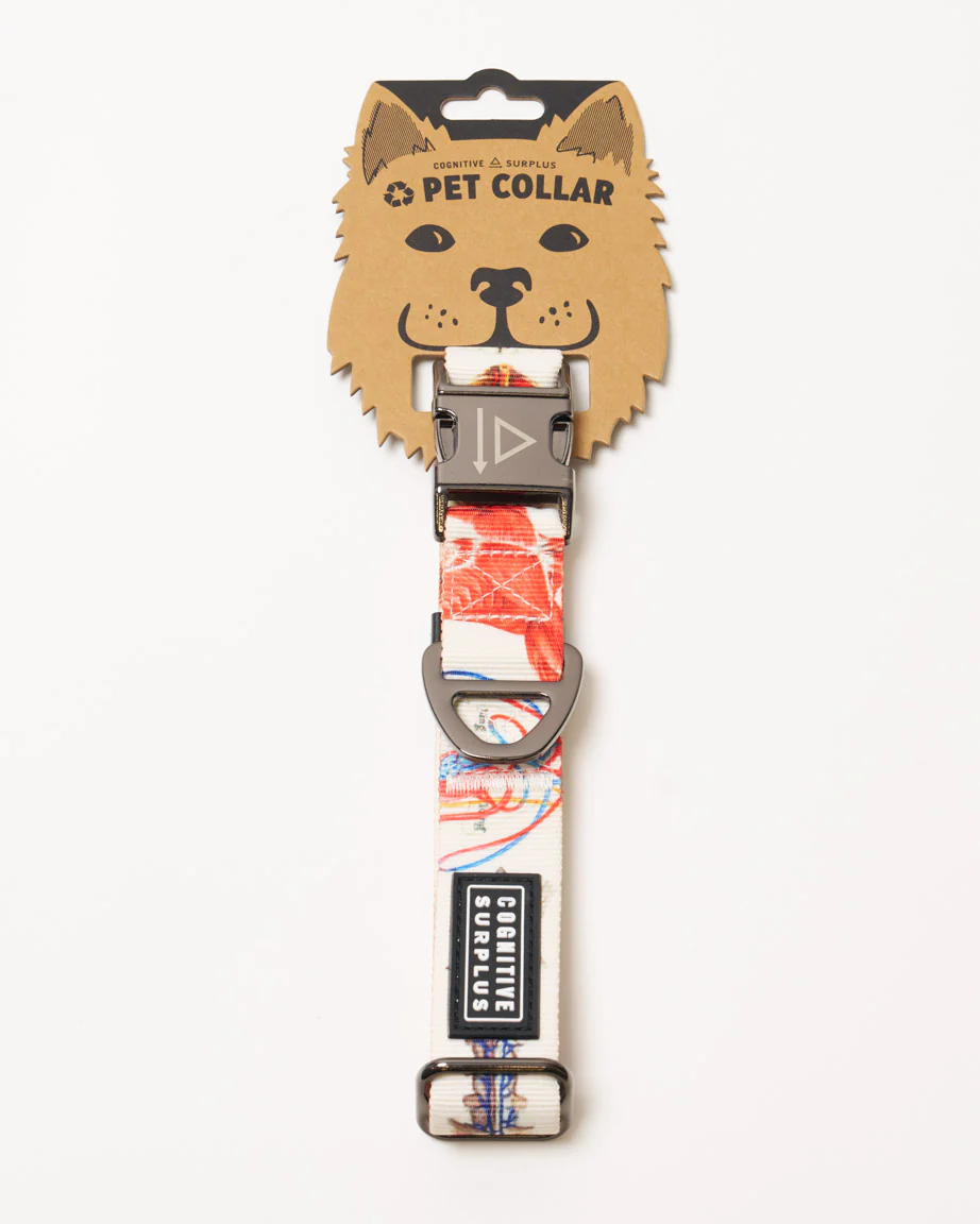 Anatomy Eco Pet Collar - Image 4