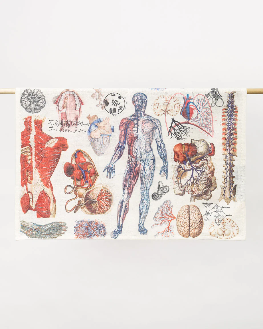 Anatomy Tea Towel - Image 3