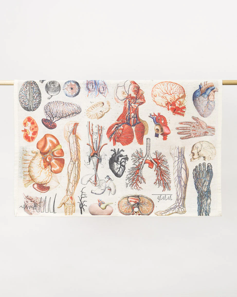 Anatomy Tea Towel - Image 4
