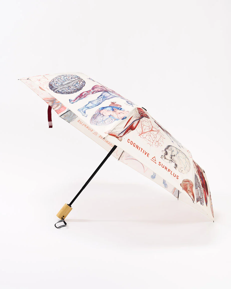 Anatomy Umbrella - Image 2