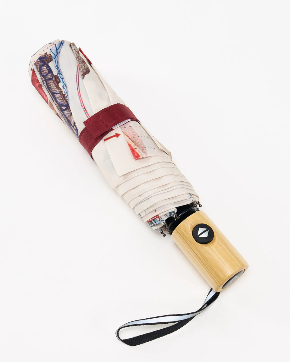 Anatomy Umbrella - Image 4
