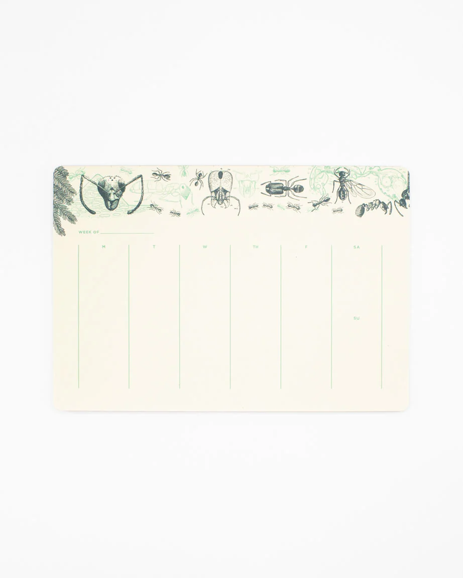 Ant Notepads - Image 2