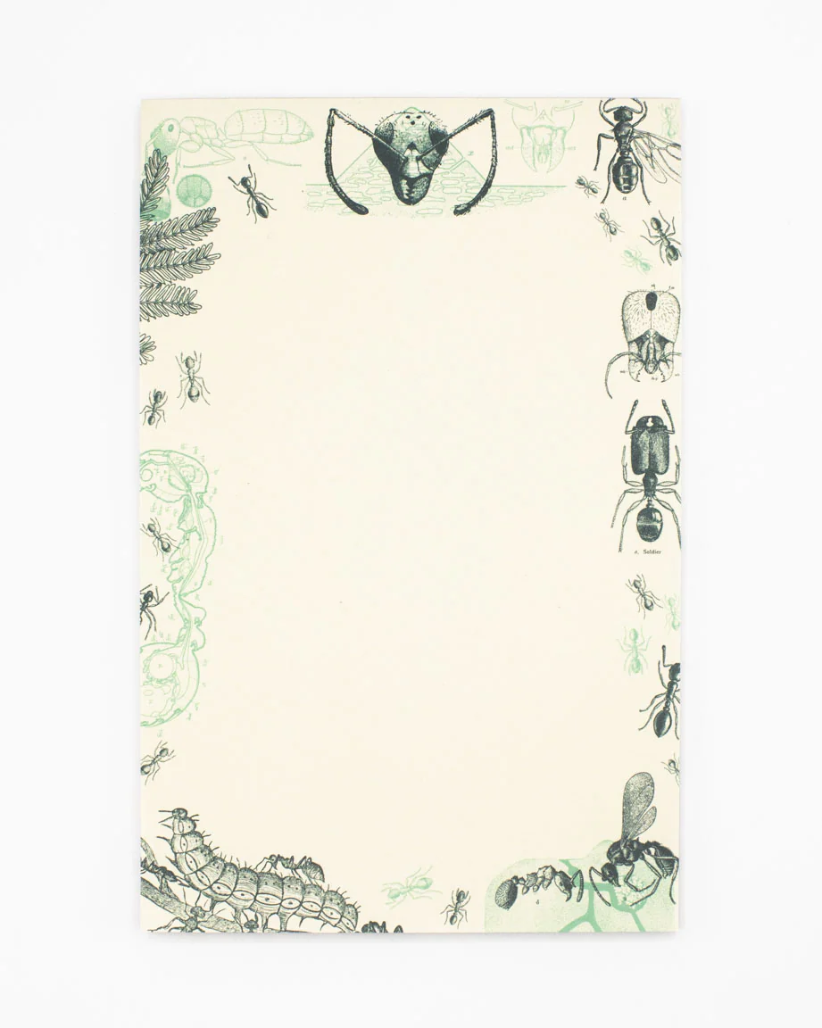 Ant Notepads - Image 6