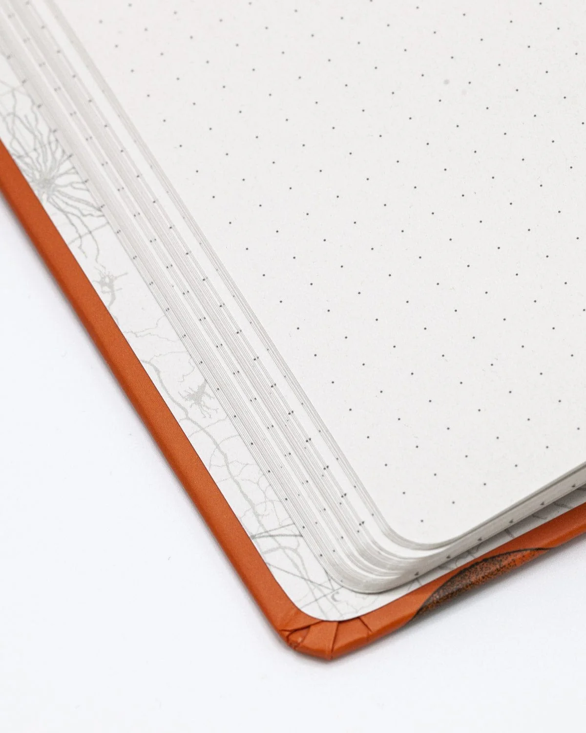 Ants Hardcover Notebook - Dot Grid - Image 5