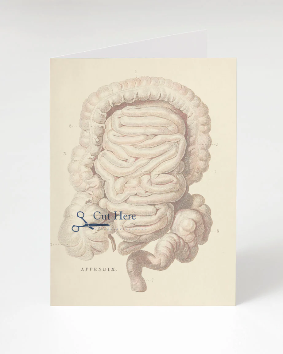 Appendix Cut Here Card