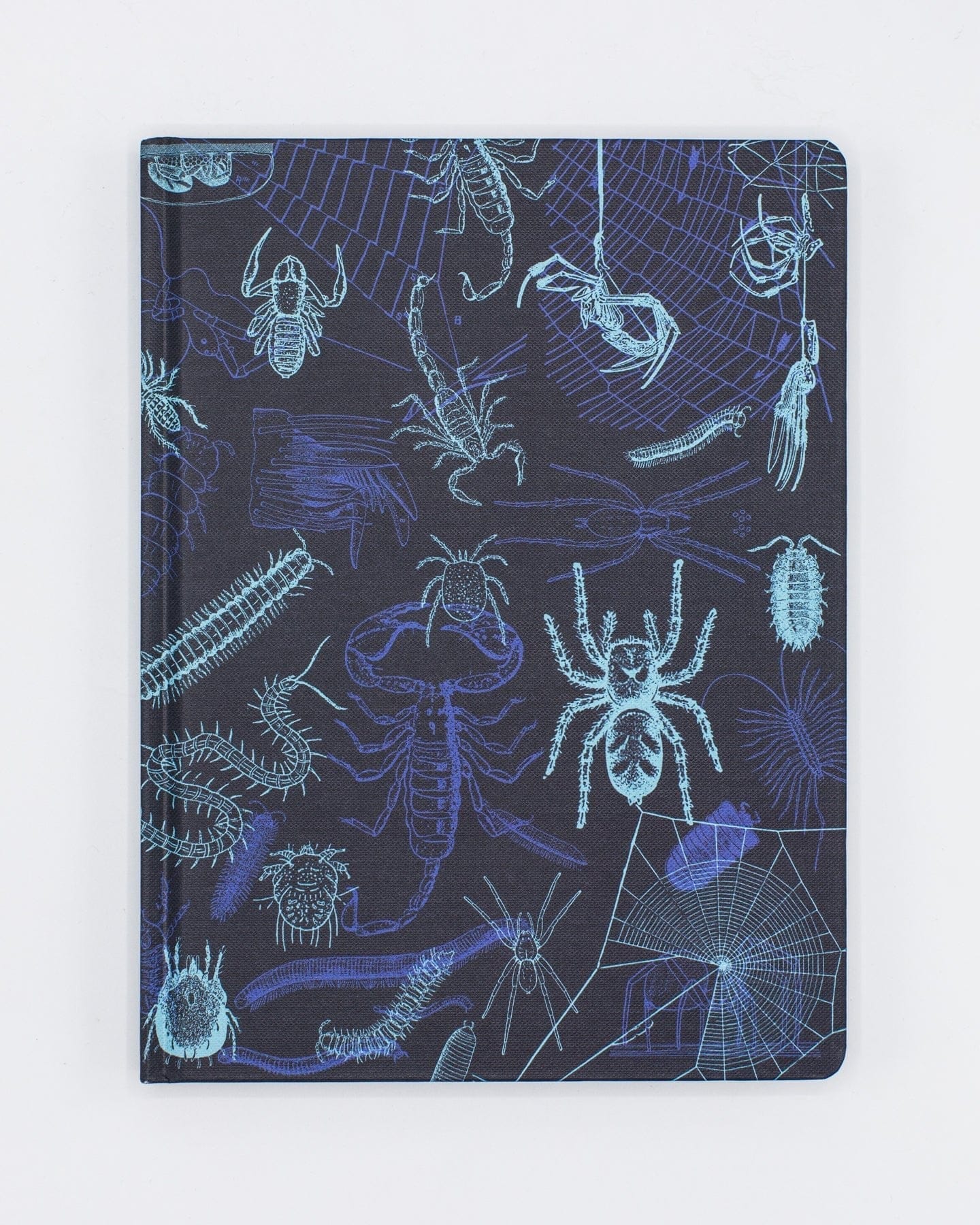 Spiders & Scorpions Hardcover Notebook - Lined/Grid