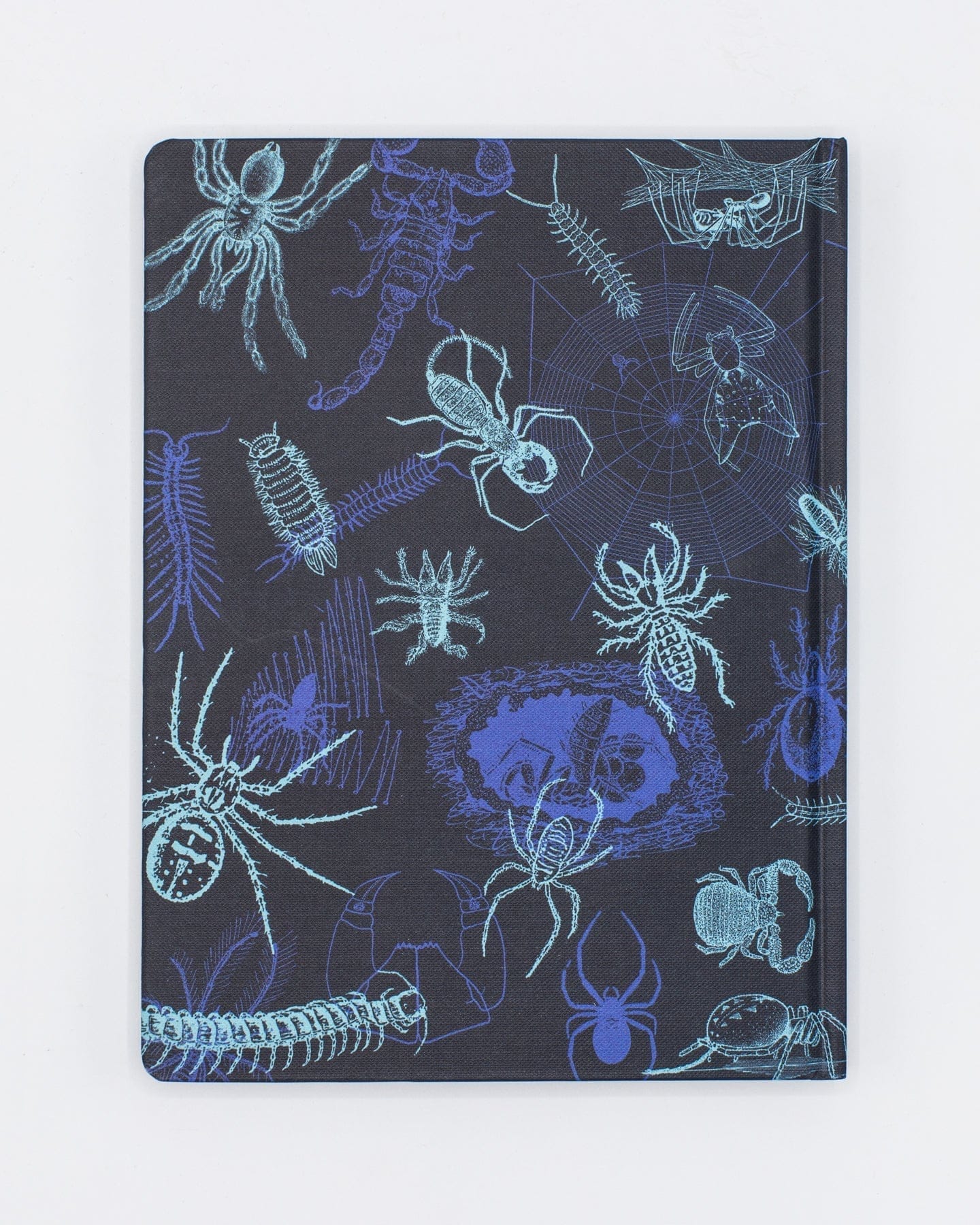 Spiders & Scorpions Hardcover Notebook - Lined/Grid - Image 2