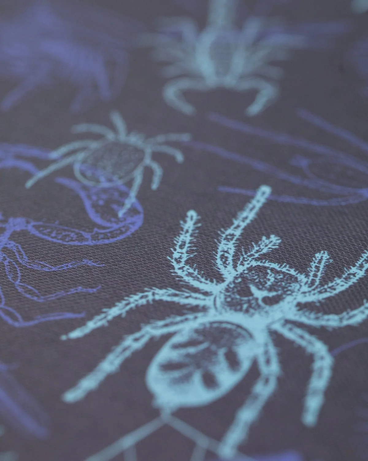 Spiders & Scorpions Hardcover Notebook - Lined/Grid - Image 3