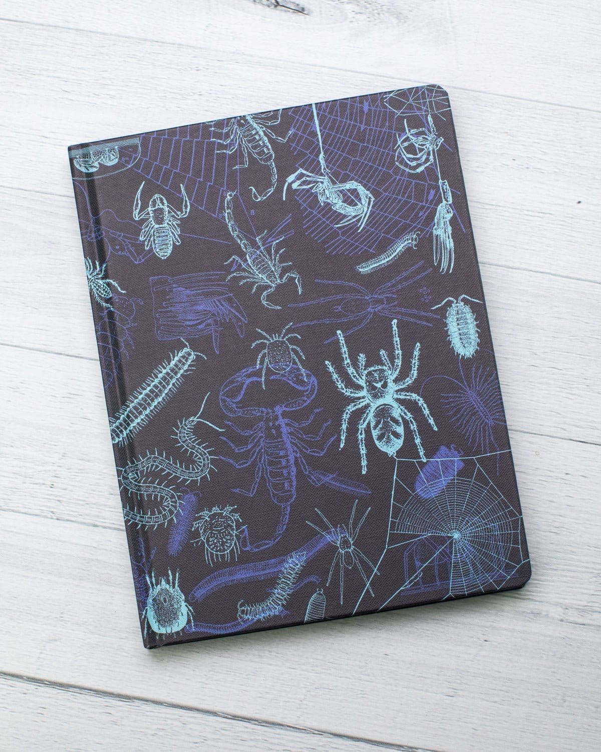 Spiders & Scorpions Hardcover Notebook - Lined/Grid - Image 6