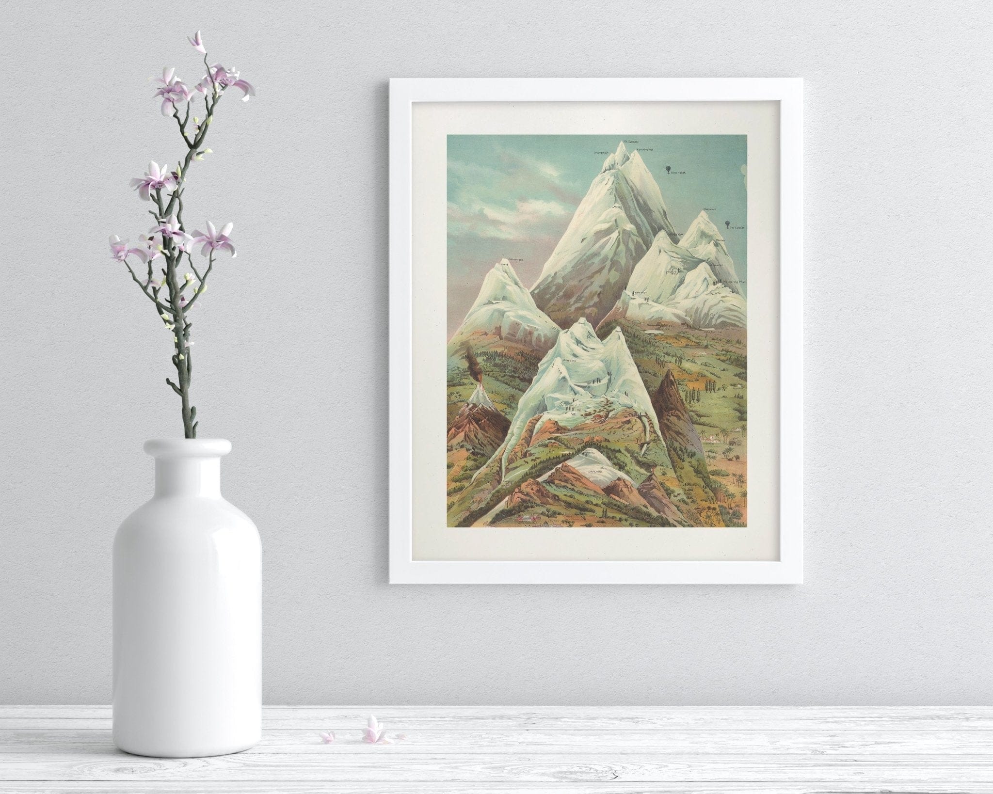 Mountain Regions 2 Scientific Illustration Museum Print - Image 3