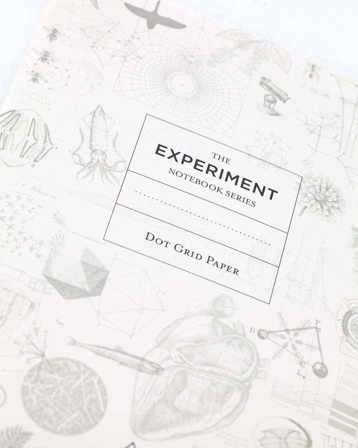 Ascending Regions Softcover Notebook - Dot Grid - Image 4