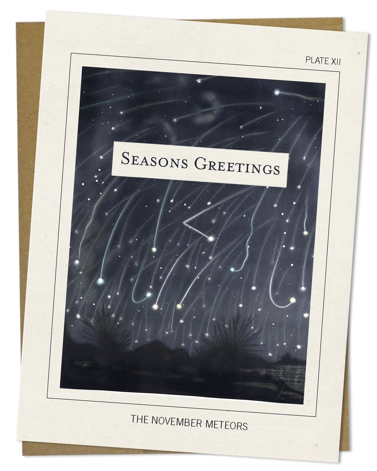 Astronomical Plate: November Meteors Seasons Greetings Card - Image 2