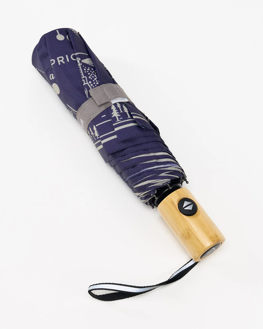 Astronomy Umbrella - Image 4