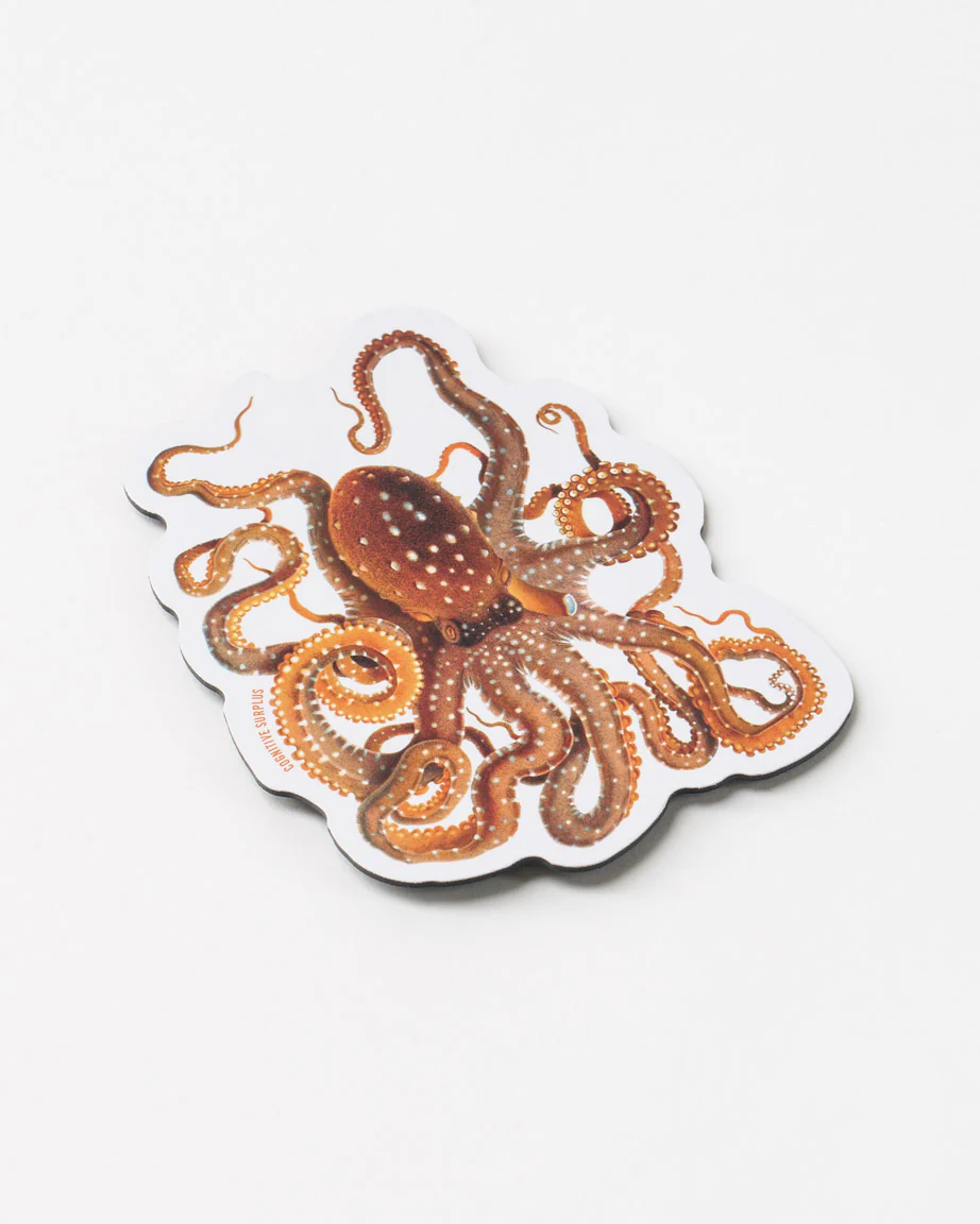 Atlantic White-Spotted Octopus Magnet