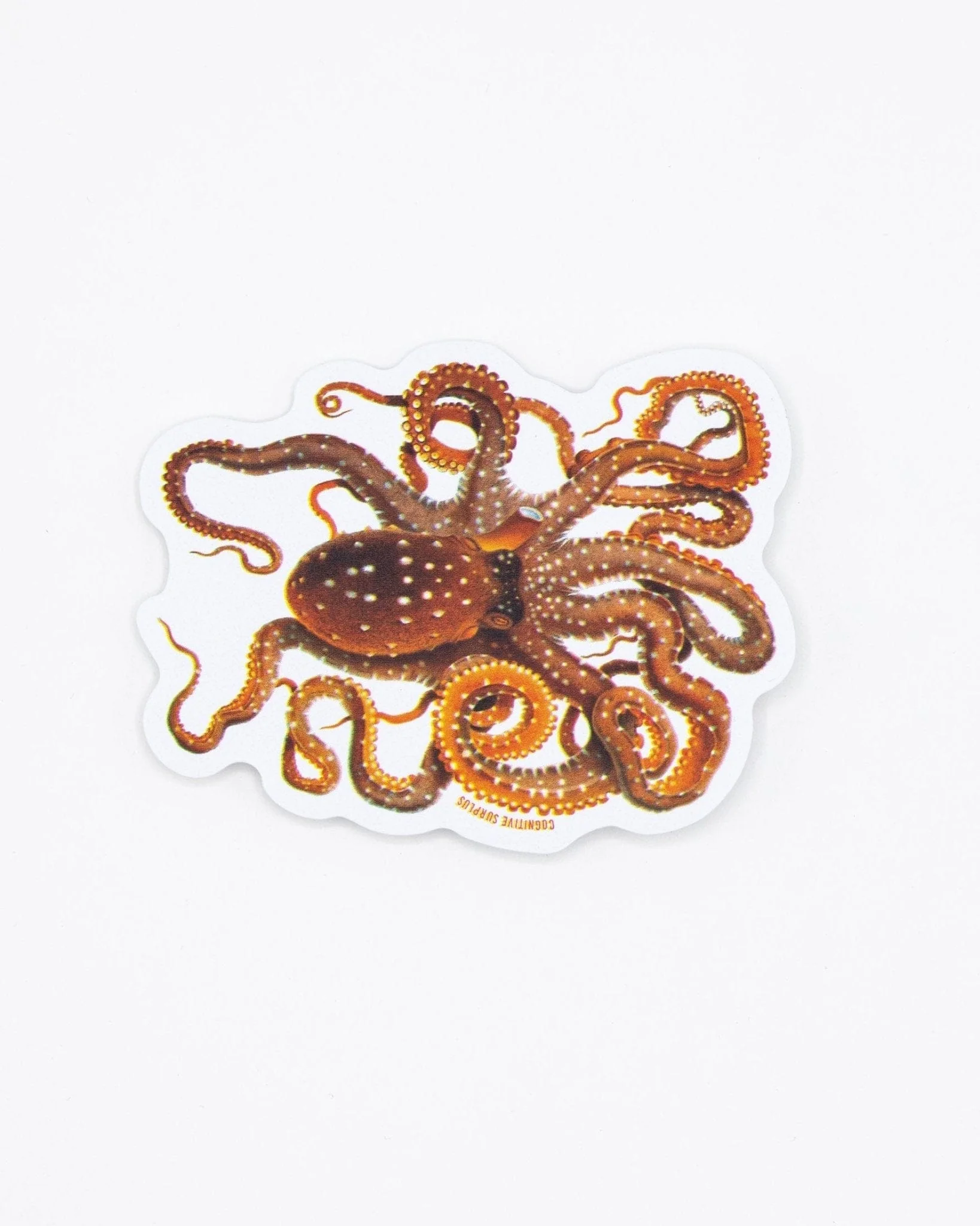 Atlantic White-Spotted Octopus Sticker - Image 2
