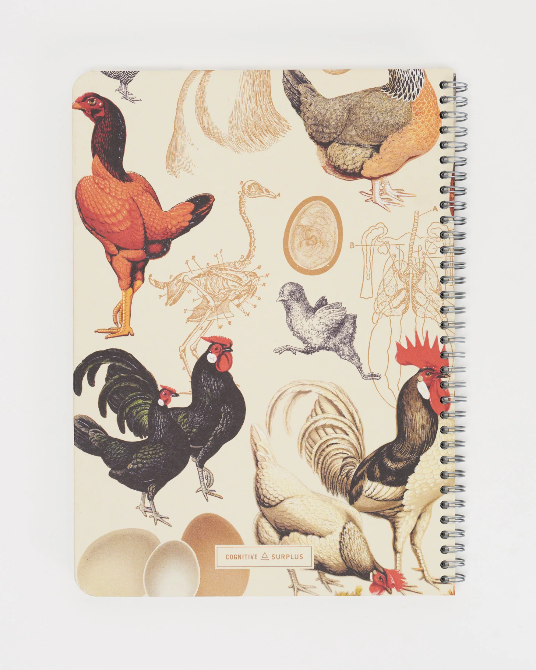 Backyard Birds: Chickens Spiral Notebook - Image 2