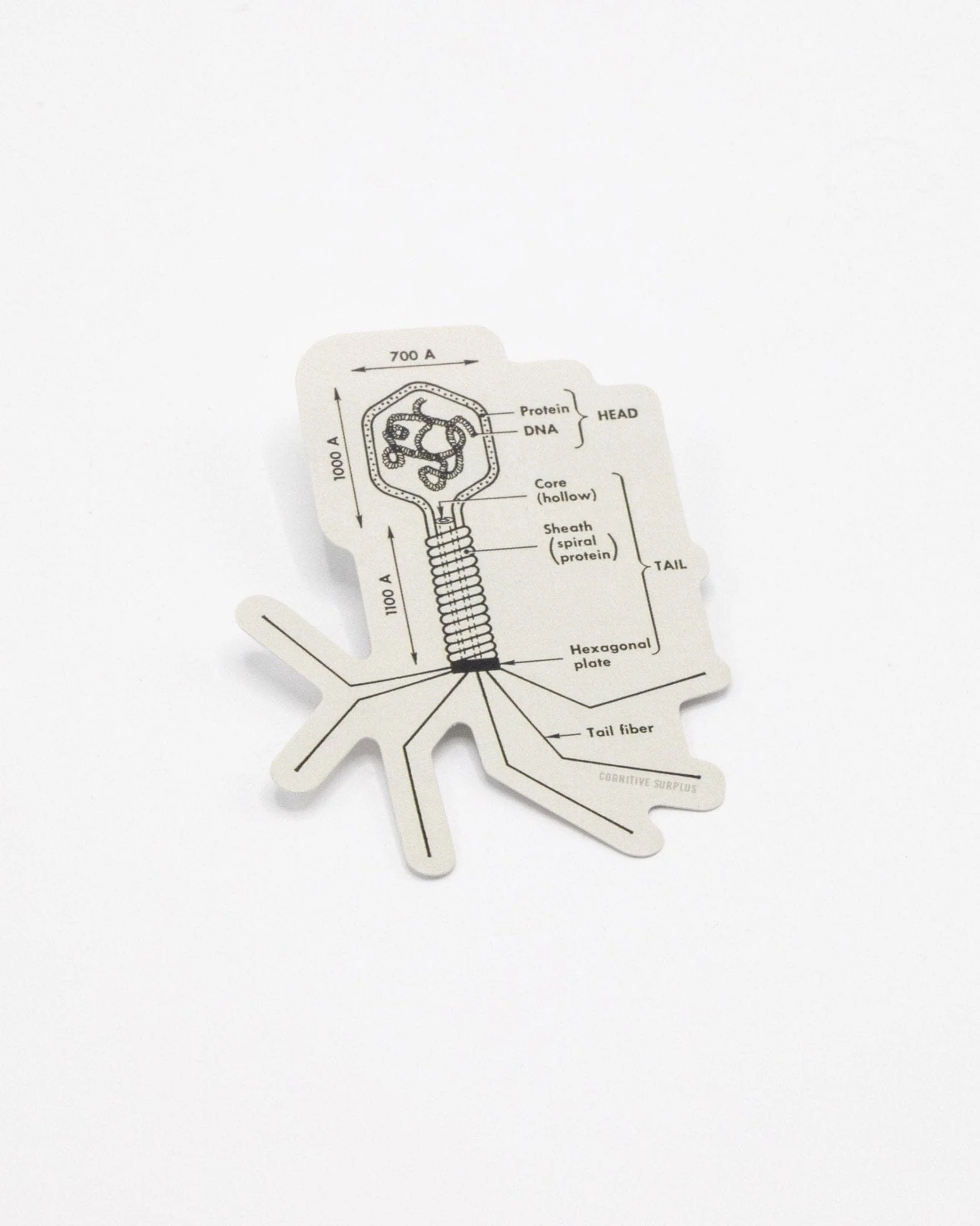 Bacteriophage Sticker