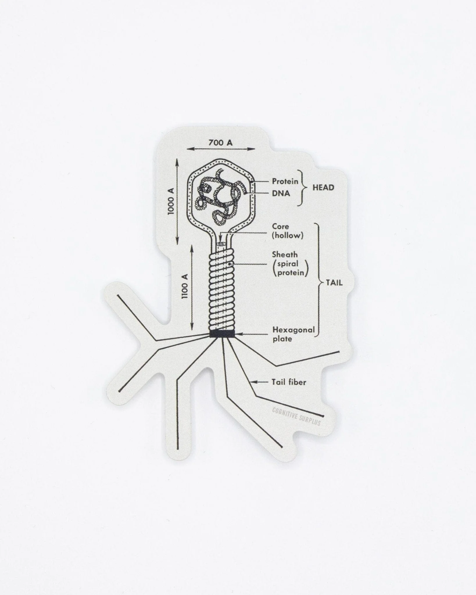 Bacteriophage Sticker - Image 2