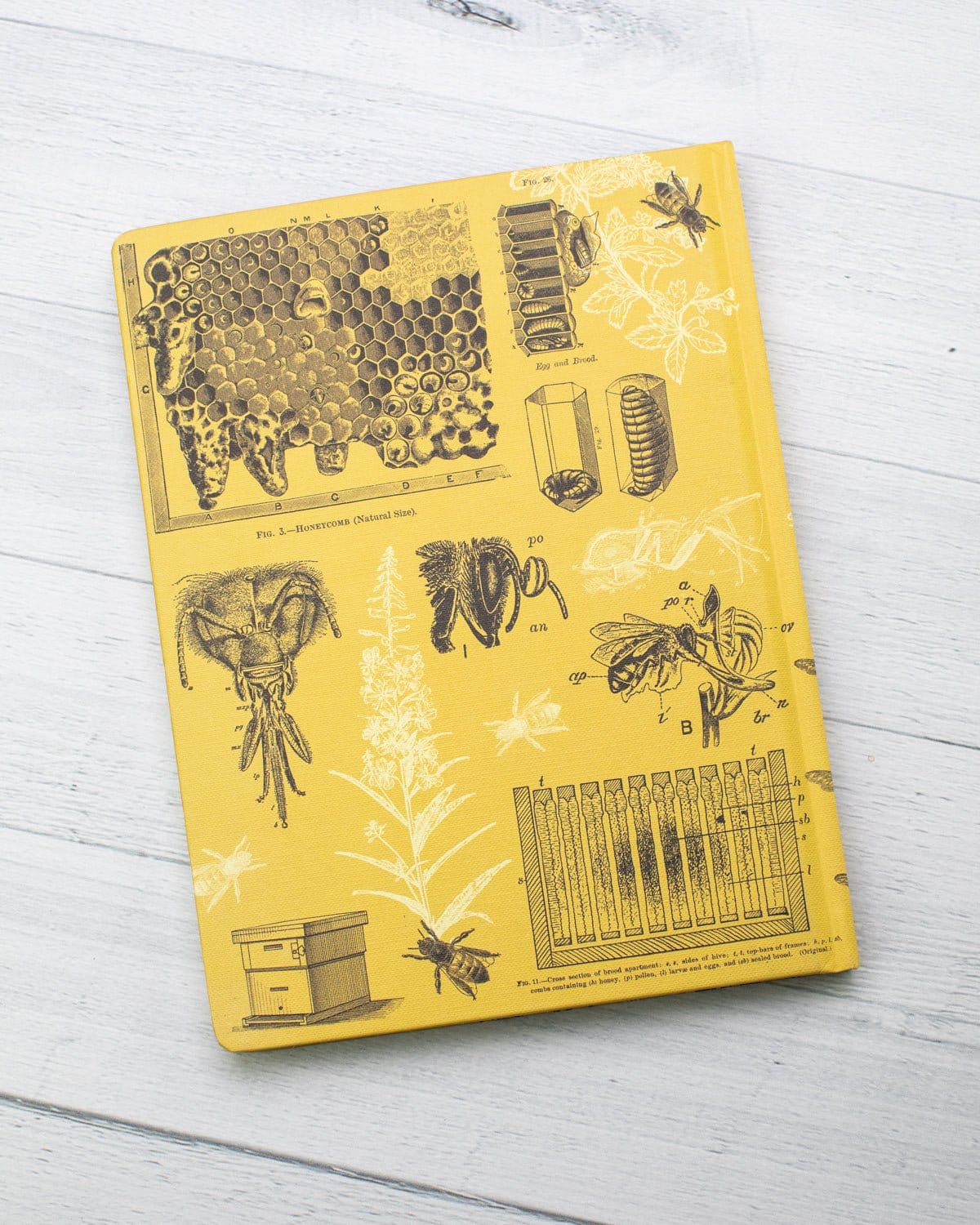 Bees Hardcover Notebook - Dot Grid - Image 6