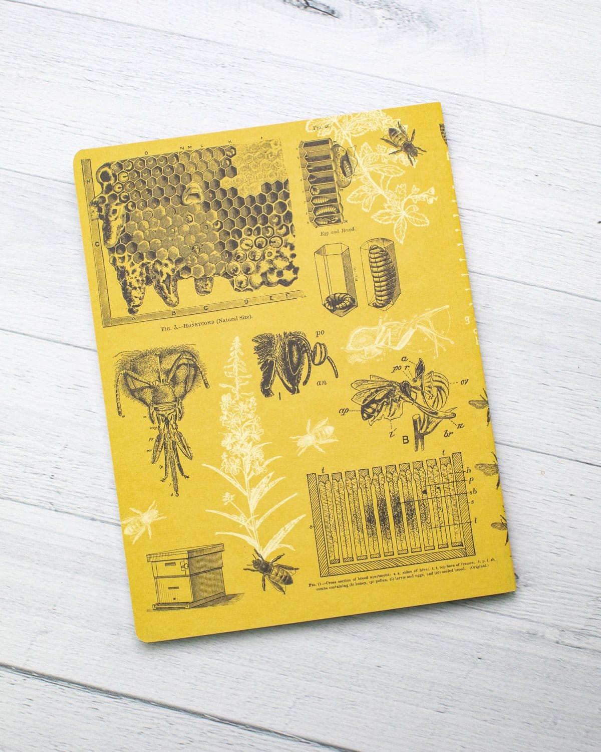 Bees Softcover Notebook - Lined - Image 6