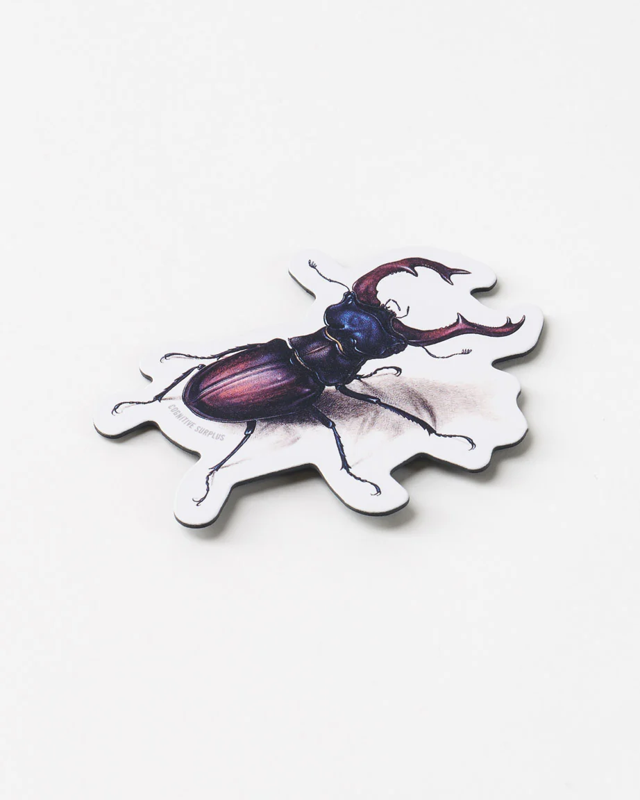 Beetle Magnet